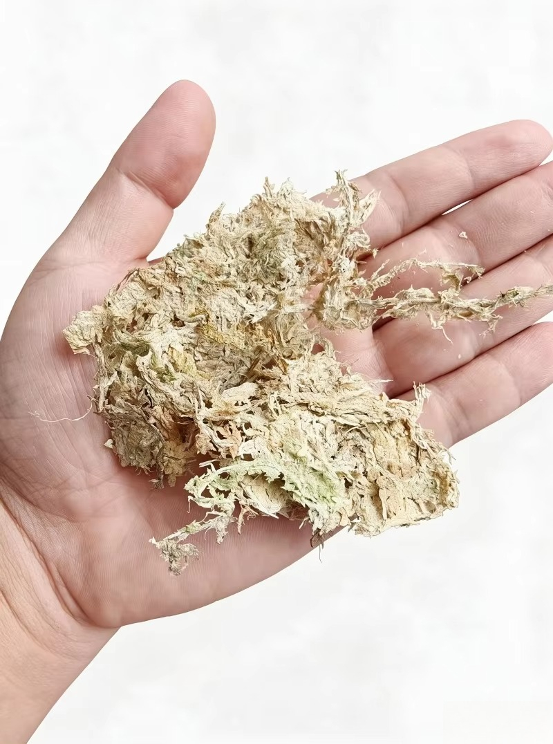 Sphagnum Moss Dry - Wysokiej jakości mchy spongowe do uprawy