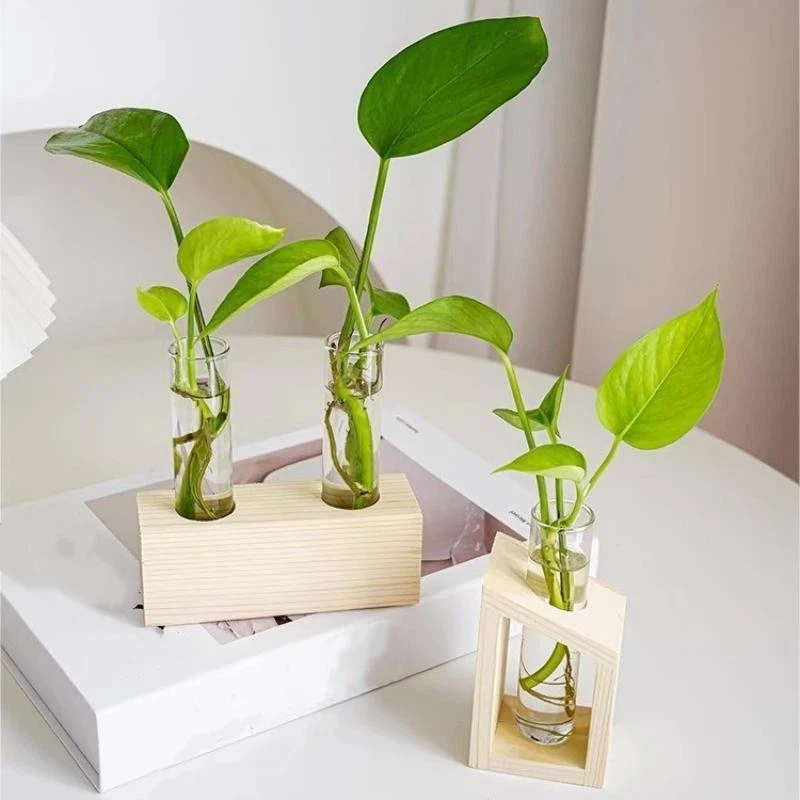 Szklany wazon z probówkami do  – Propagation Station Vase recenzja i cena